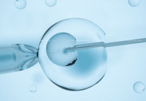 河南代孕公司要花多少钱,【生三胎国家补助多少钱】2026年三胎有什么补助政策