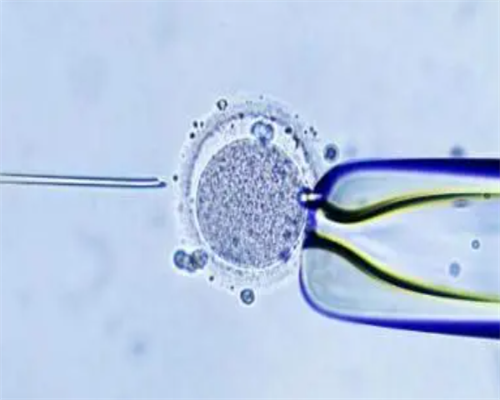 2026四川代孕政策,2026年四川三胎最新政策？四川地区三胎政策最新消息是什么？