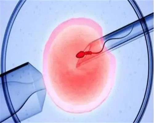 无锡靠谱试管助孕,无锡供卵助孕医院排名前十的医院？附详细费用成功率