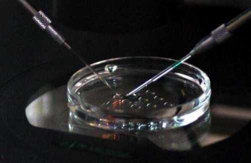 高龄在无锡三院试管成功率高吗