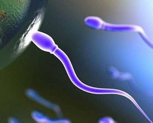 2026济南借卵代生多少钱