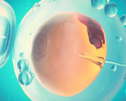 无锡供卵合法，无锡市试管婴儿_无锡试管宝宝