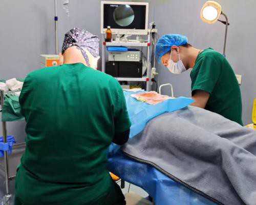 深圳试管医院排名前十医院有哪些？