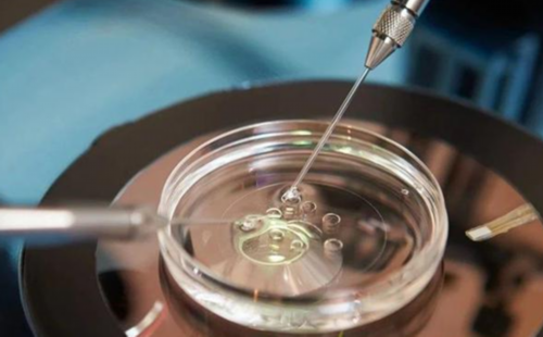 无锡代怀网选性别，无锡少弱精对做试管有影响吗？