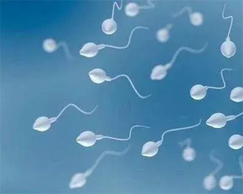 试管怎么判断卵子质量好坏？这6个妙招能帮你轻松辨别