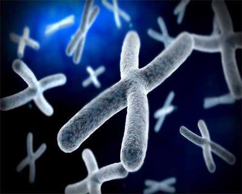 南京供卵试管公司哪家比较好，排卵障碍可以供卵吗