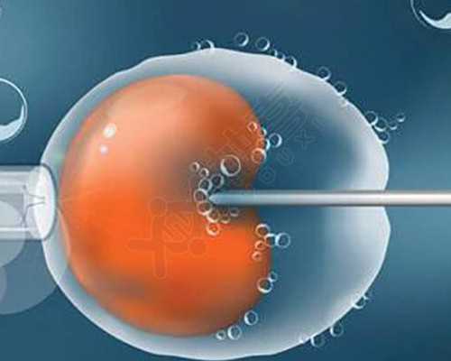 成都单身试管,成飞单身公寓宿舍图片