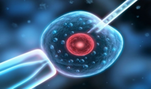 无锡可以代生的吗，在无锡做试管婴儿可以选择性别吗？