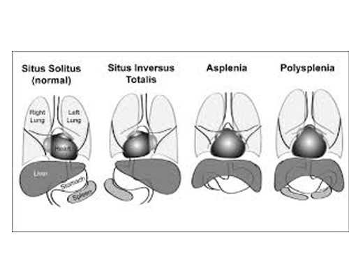 无锡代怀孕零风险，无锡旅游去哪里好玩？无锡旅游必去十大景点分享