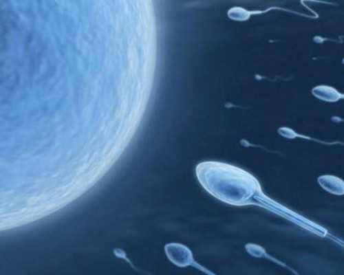 短效避孕药导致阴道出血应该怎么办