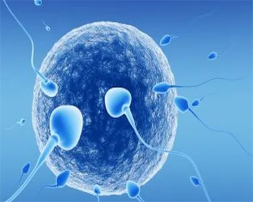 无锡供卵试管网信息，无锡第三代试管济南_无锡试管哪家好