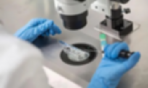 国内供卵代怀,【国内有三代试管供卵吗】哪怕不爱吃也吃点，坚持到生完宝宝