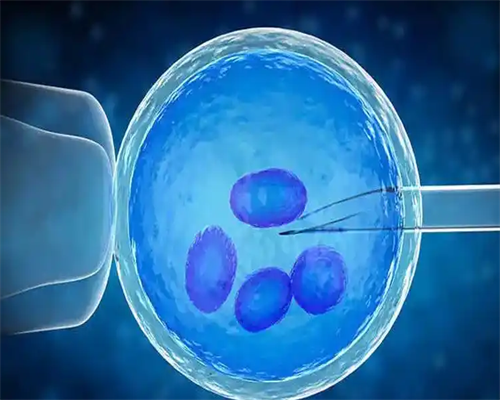 揭阳三代试管性别鉴定准确吗