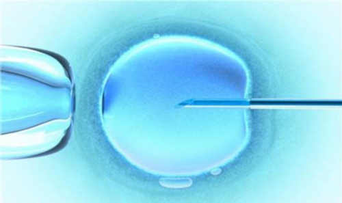 左旋肉碱对男生的危害