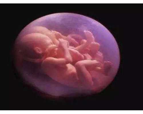 佛山供卵机构在哪,佛山顺德精子库在哪