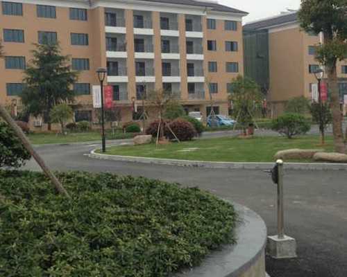 备孕可以吃减肥药吗，备孕期间能吃减肥药吗