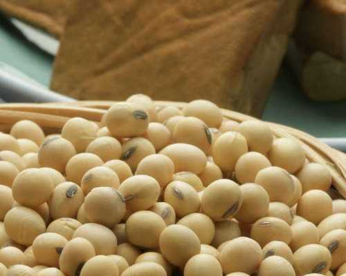 福建供卵生子的费用，福建泉州儿童医院新生儿被烤死（图）