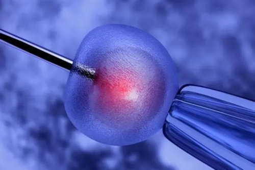 天津有代生孩子的妈妈吗,借卵生子后悔了吗？做供卵试管会不会后悔呀？过来