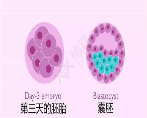 广州代生小孩有哪些中介，广州试管可以选择位置