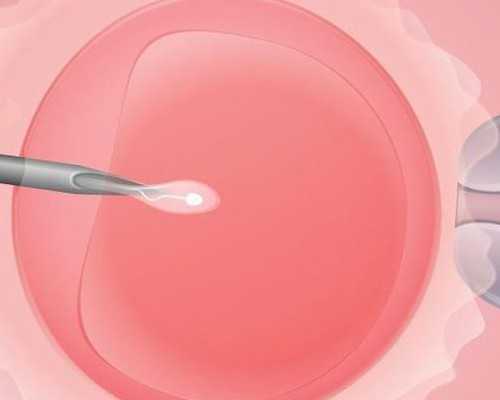 湖北供卵辅助生殖机构，武汉供卵试管哪里做