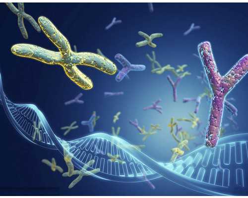 无锡包成功套餐，无锡二胎试管婴儿费用是多少