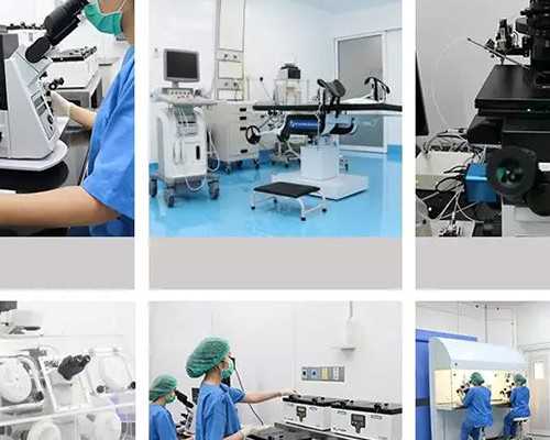 石家庄代孕包男孩公司，2026石家庄试管婴儿纳入医保了吗