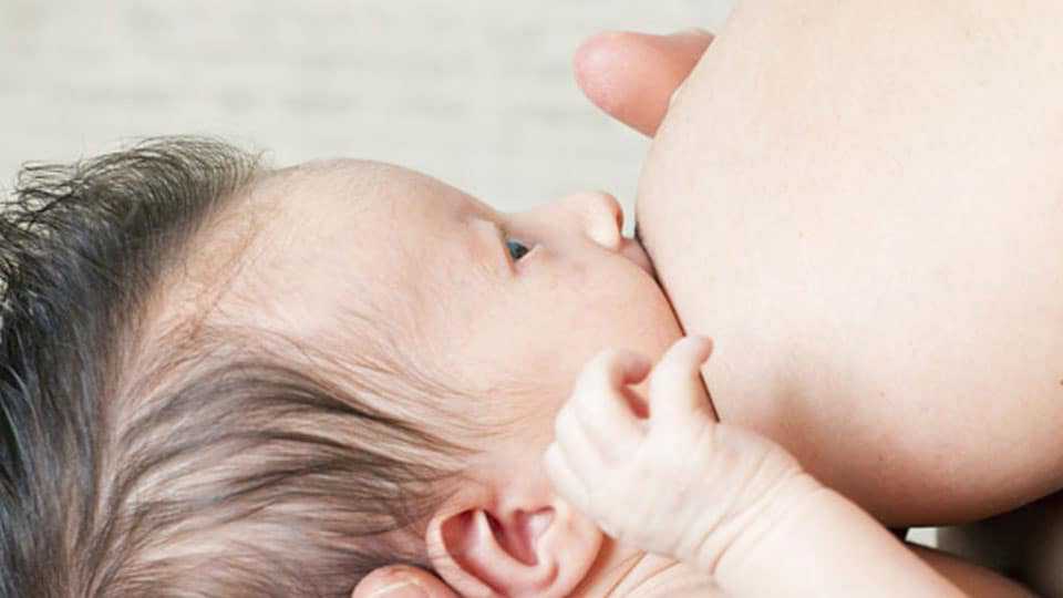 石家庄助孕具体费用,石家庄四院做供卵试管大概多少钱？附医院费用明细