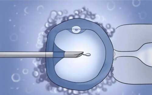 2026年国内最好的供卵医院排名？附医院名单？