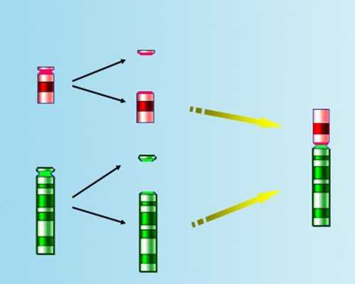 深圳市妇幼保健院试管婴儿怎么样附带试管费用