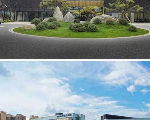 广州借卵子做试管可以吗,广州能做供卵试管公立的医院有哪些？附全国排名试