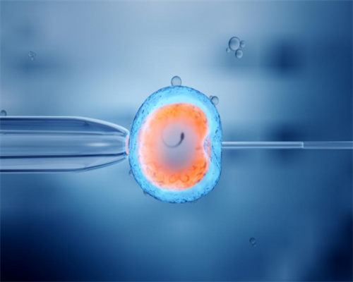 性激素六项正常值参考范围，性激素六项不正常影响怀孕吗