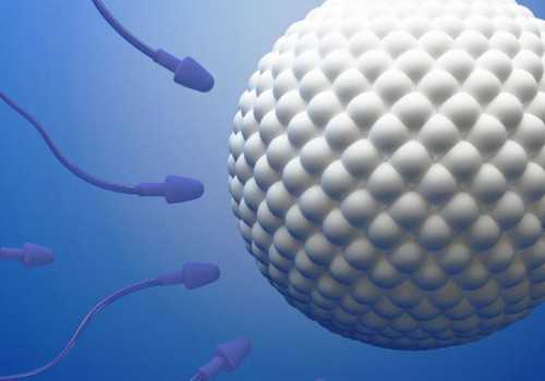 无锡供卵私立，无锡助孕哪家好_无锡助孕排名