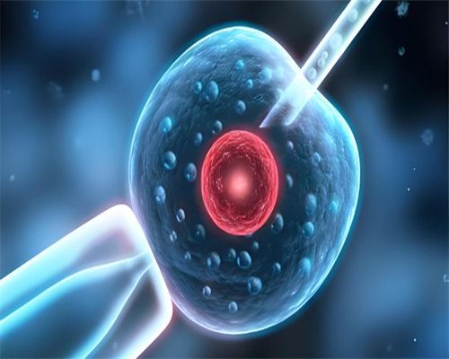 珠海借精受孕qq群,柬埔寨皇家生殖试管群泛滥，不要随便加群