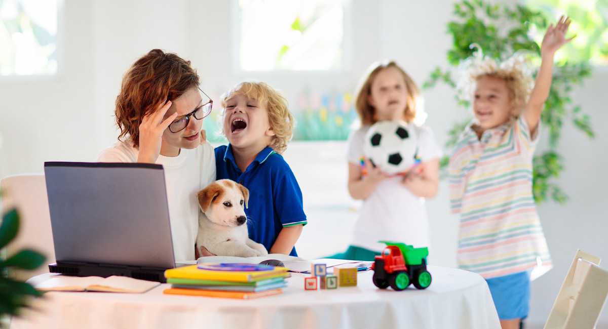 试管婴儿取卵怎么穿刺