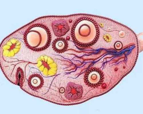 无锡代怀试管生子，无锡妇幼医院生殖科做二代试管成功率怎么样？