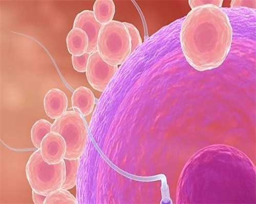 无锡哪里有招代怀，无锡试管婴儿排名前三的医院有哪些？