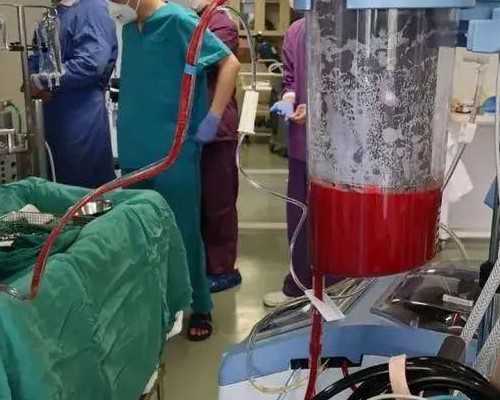 佛山有供卵的医院吗,上海有供精卵的医院吗