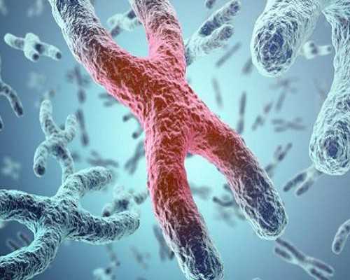 武汉公立代怀孕机构，武汉供卵试管生子吗