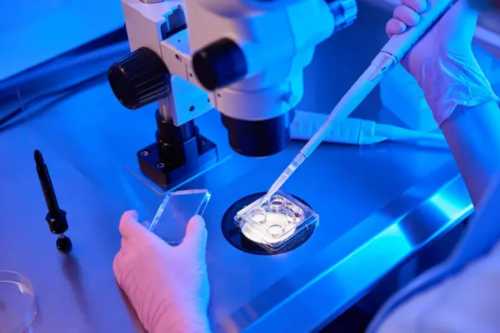 人授真的能成功和人授全部流程