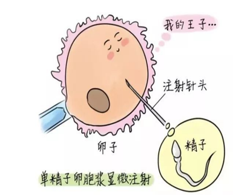 凌晨胎动频繁正常吗