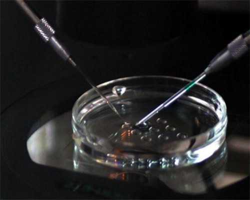 无锡怎样代怀，无锡三代试管性别选择_江苏三代试管婴儿