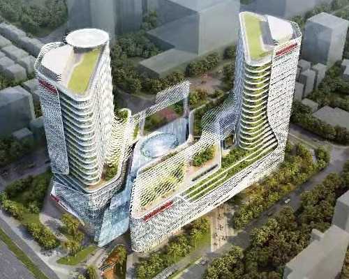 借卵生子需要注意什么，试管代生性别筛选