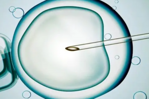 女性绝经期越迟越好？医生：过早、太晚都有风险！做好这三点