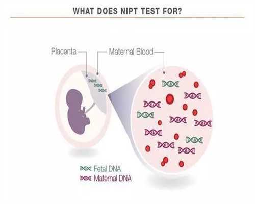 合肥生殖中心有供卵吗？合肥市供卵试管医院排行