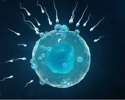 重庆供卵代怀包男孩，供卵试管分娩时