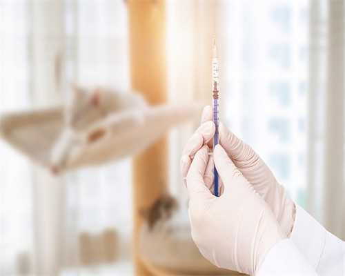 2026石家庄市妇产医院做三代试管供卵费用清单全面分析