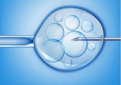 试管婴儿双胞胎聪明吗,试管宝宝是否聪明