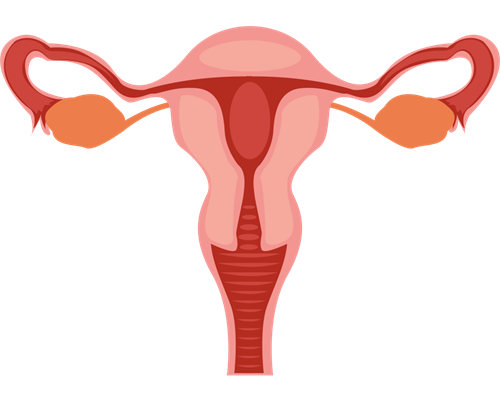 佛山助孕生殖,瑞禾生物科技有限公司:2026佛山三代包生男孩的试管医院名单公开