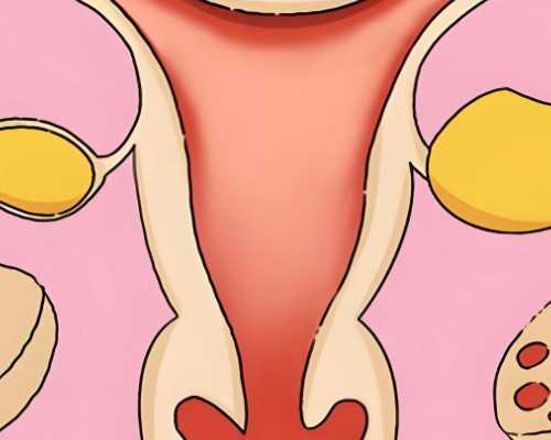 2026西安私立供卵机构排名一览，附最新供卵成功率及费用参考