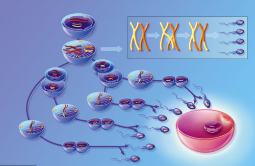 妇科炎症自检卡有用吗